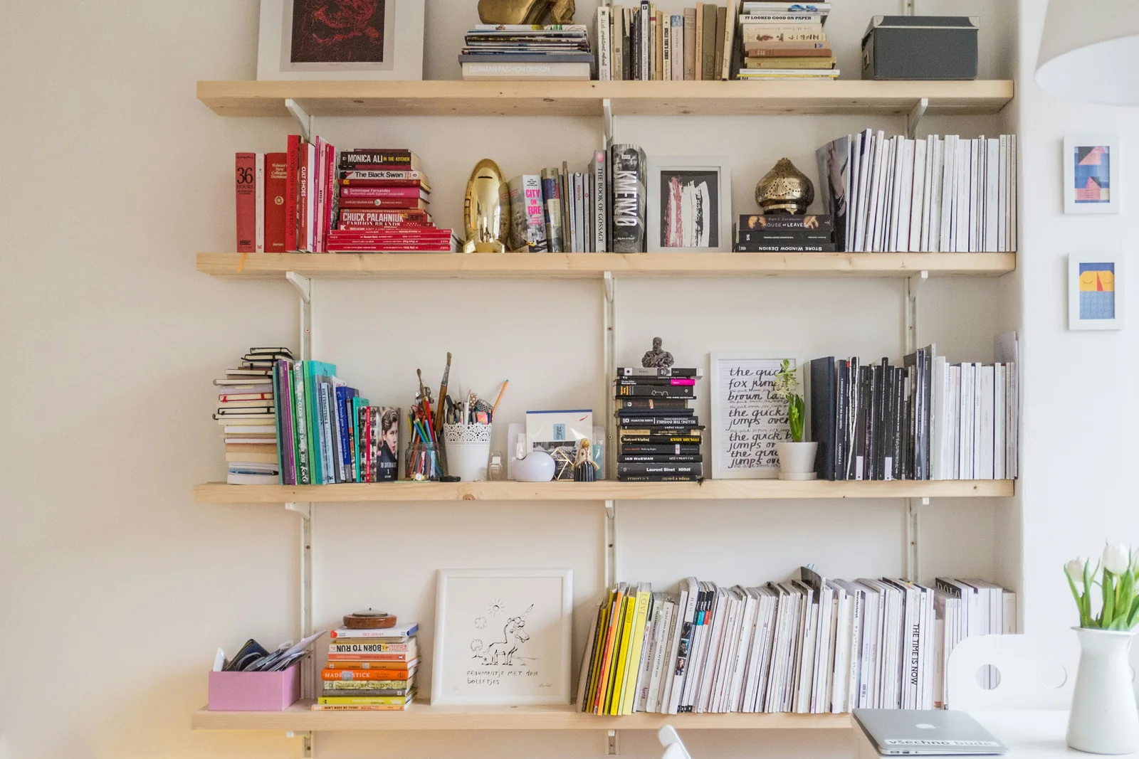 Organized books and reference materials on open shelves